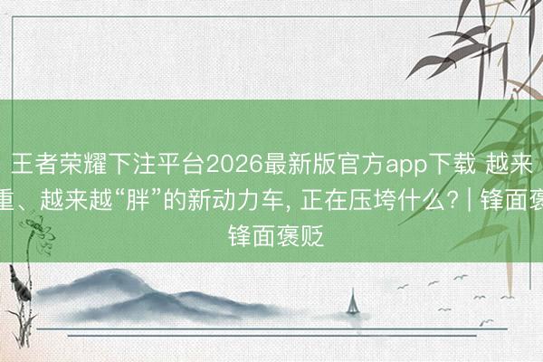 王者荣耀下注平台2026最新版官方app下载 越来越重、越来越“胖”的新动力车， 正在压垮什么? | 锋面褒贬