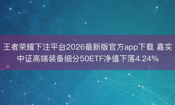 王者荣耀下注平台2026最新版官方app下载 嘉实中证高端装备细分50ETF净值下落4.24%