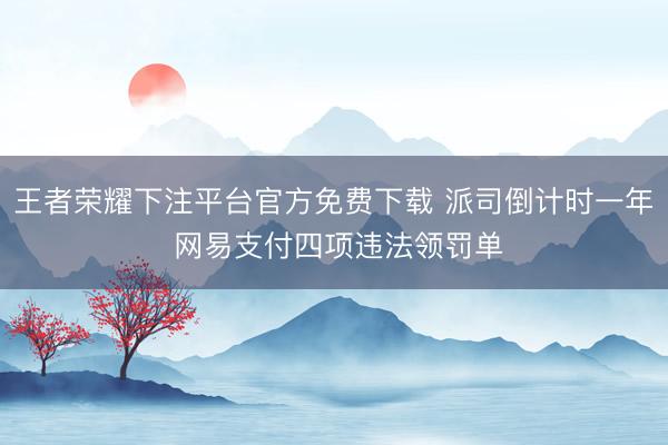 王者荣耀下注平台官方免费下载 派司倒计时一年 网易支付四项违法领罚单