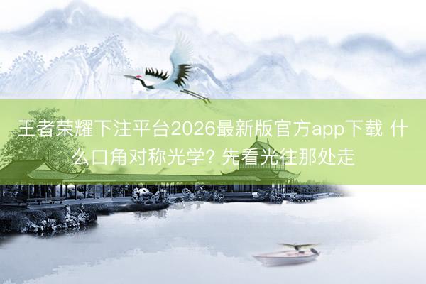 王者荣耀下注平台2026最新版官方app下载 什么口角对称光学? 先看光往那处走