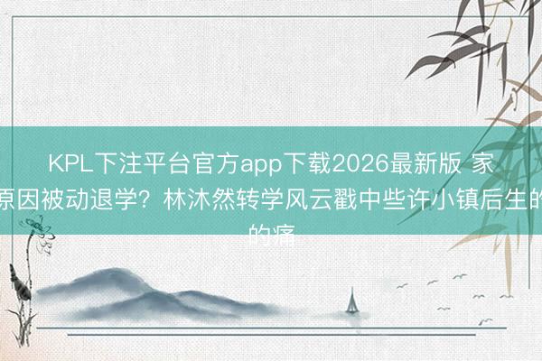 KPL下注平台官方app下载2026最新版 家庭原因被动退学？林沐然转学风云戳中些许小镇后生的痛