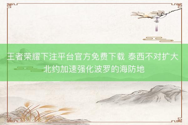 王者荣耀下注平台官方免费下载 泰西不对扩大 北约加速强化波罗的海防地